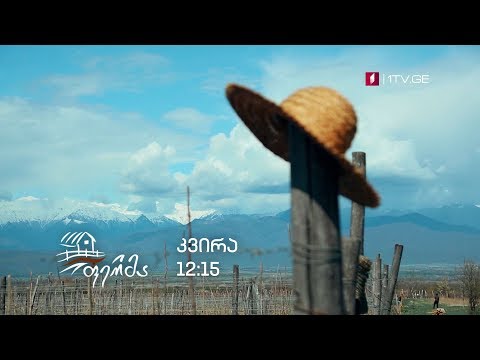 „ფერმა“ - 14 აპრილს, 12:15 საათზე