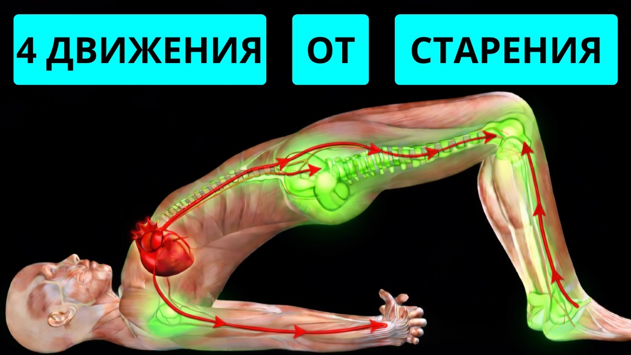 4 МЕДИЦИНСКИХ ДВИЖЕНИЯ после 60 для здоровья и долголетия!