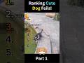 Cute Dog Fails | Part 1 🐶😂