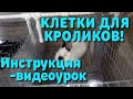 Клетки для кроликов от А до Я своими руками с чертежами подробно.