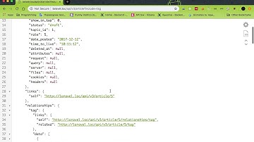 JSON API Relations based on Laravel