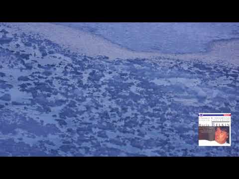 コンスタンチン・シルヴェストリ　コンプリートEMIレコーディングス ETERNA TRADING / 近現代作品 / Contemporary