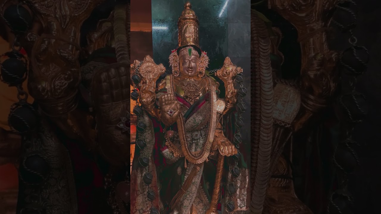 narayana #narayana #devotionalsongs #perumal