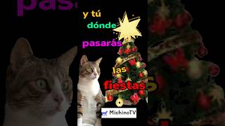 🎄Dónde Pasarás Las Fiestas 😹😹😹