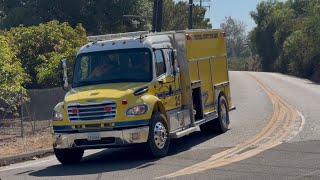*RARE* Ventura County WT25 clearing from the Adam’s fire and being available 
