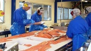 ✅  O σολομός ιχθυοτροφείου είναι η πιο τοξική τροφή στον πλανήτη.
