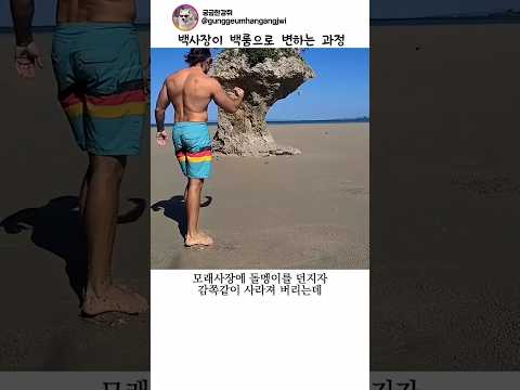 백사장이 백룸으로 변하는 과정 thumbnail