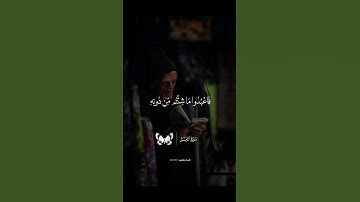 سورة الزمر || صوت جميل جدا من الشيخ حسن صالح #اكسبلور #قرآن #الرحمن #المصحف #حسن_صالح #حالات_واتس