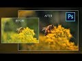 How to EDIT MACRO PHOTOGRAPHY using photoshop cc | CAMERA RAW FILTER (NEW)