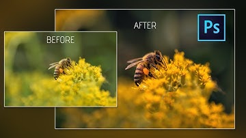 How to EDIT MACRO PHOTOGRAPHY using photoshop cc | CAMERA RAW FILTER (NEW)