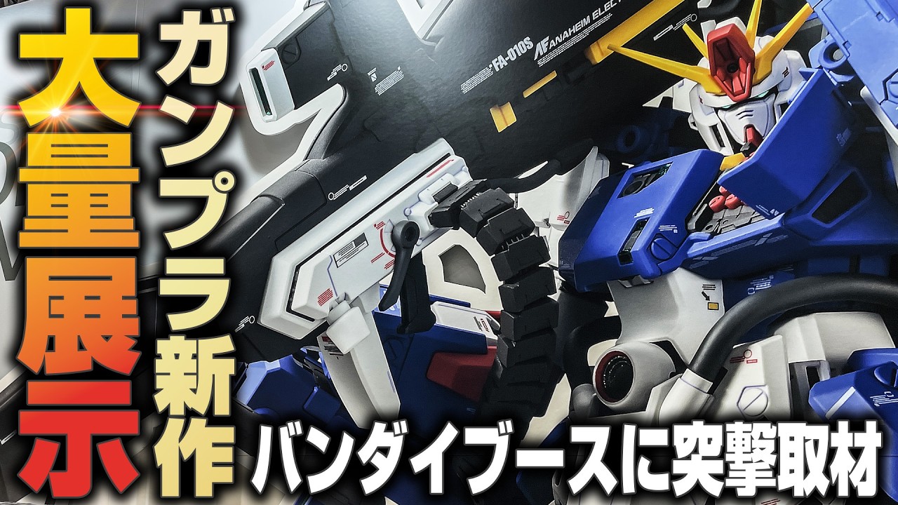 バンダイ HG ガンダム ガンプラまとめ売り バラ売り不可 バラ売り不可