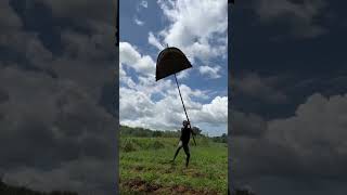 Download Lagu wau ada penam pajan dua ekor #shortvideo #nature #bamboo1 #satisfying #bambooacademy MP3