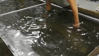 Aikka Water Transfer Printing carbon fibre on car fender
