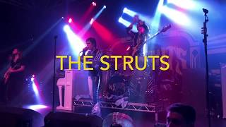 The Struts - Could Have Been Me -  16Feb2019