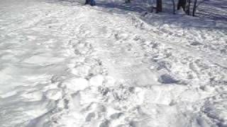 Ella wipeout Sledding 02-11-10 008.AVI