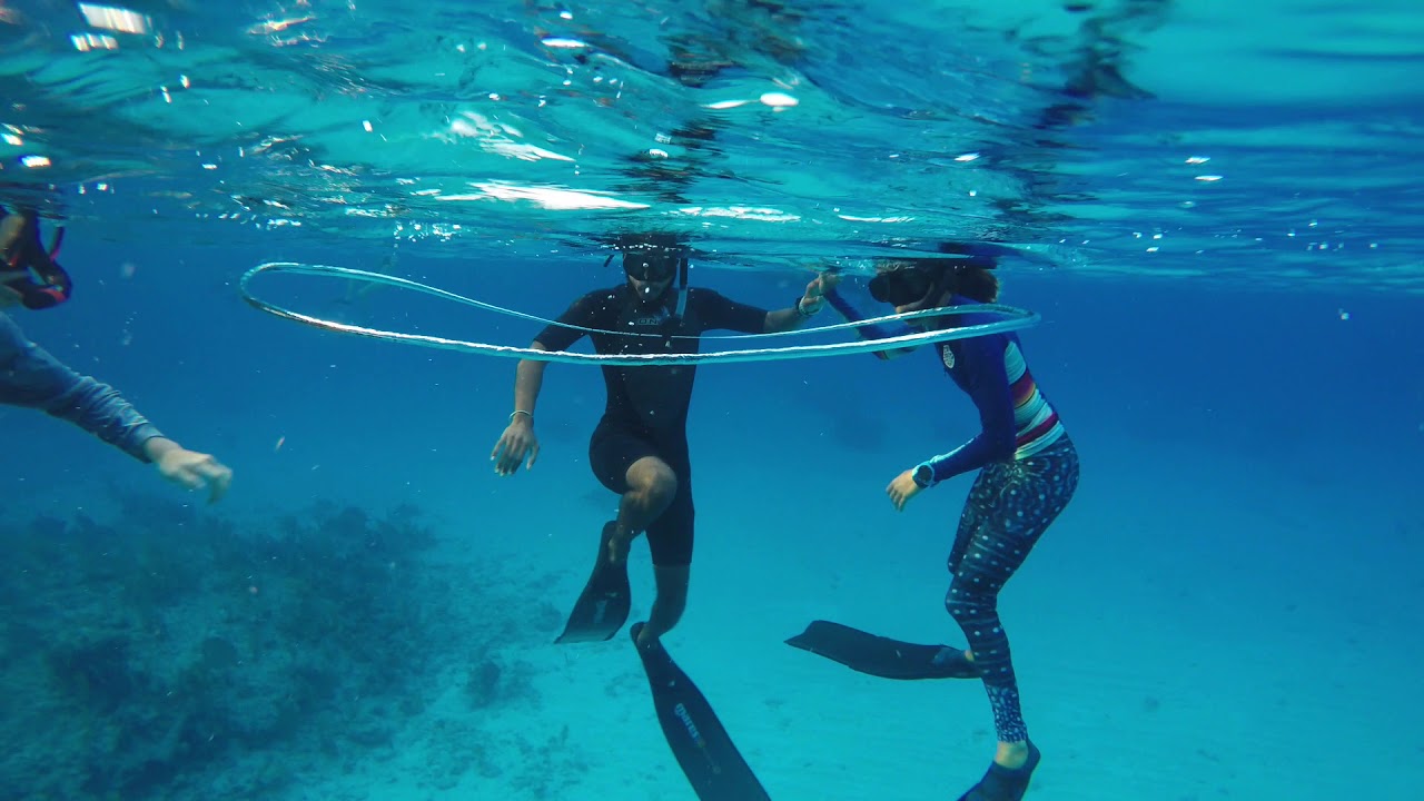 ISLAND SCHOOL FALL 2017 Freediving/ SCUBA diving YouTube