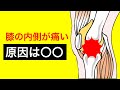 【変形性膝関節症】膝の内側が痛む原因