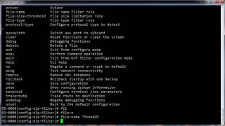 Hillstone 24 file type filtering