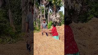 Hidir Hidir #Santali# Sorhai #Short #Video