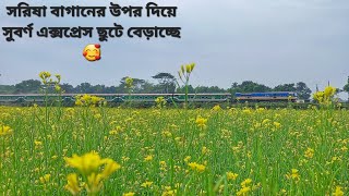 Beautiful @Suborna_Express passed a Mustard Garden || Chittagong - Dhaka || Speedy train || BR || screenshot 4