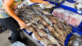ปูผัดพริกและกุ้งน้ำจืดย่างโดยพ่อค้าปลา - อาหารไทยริมทาง