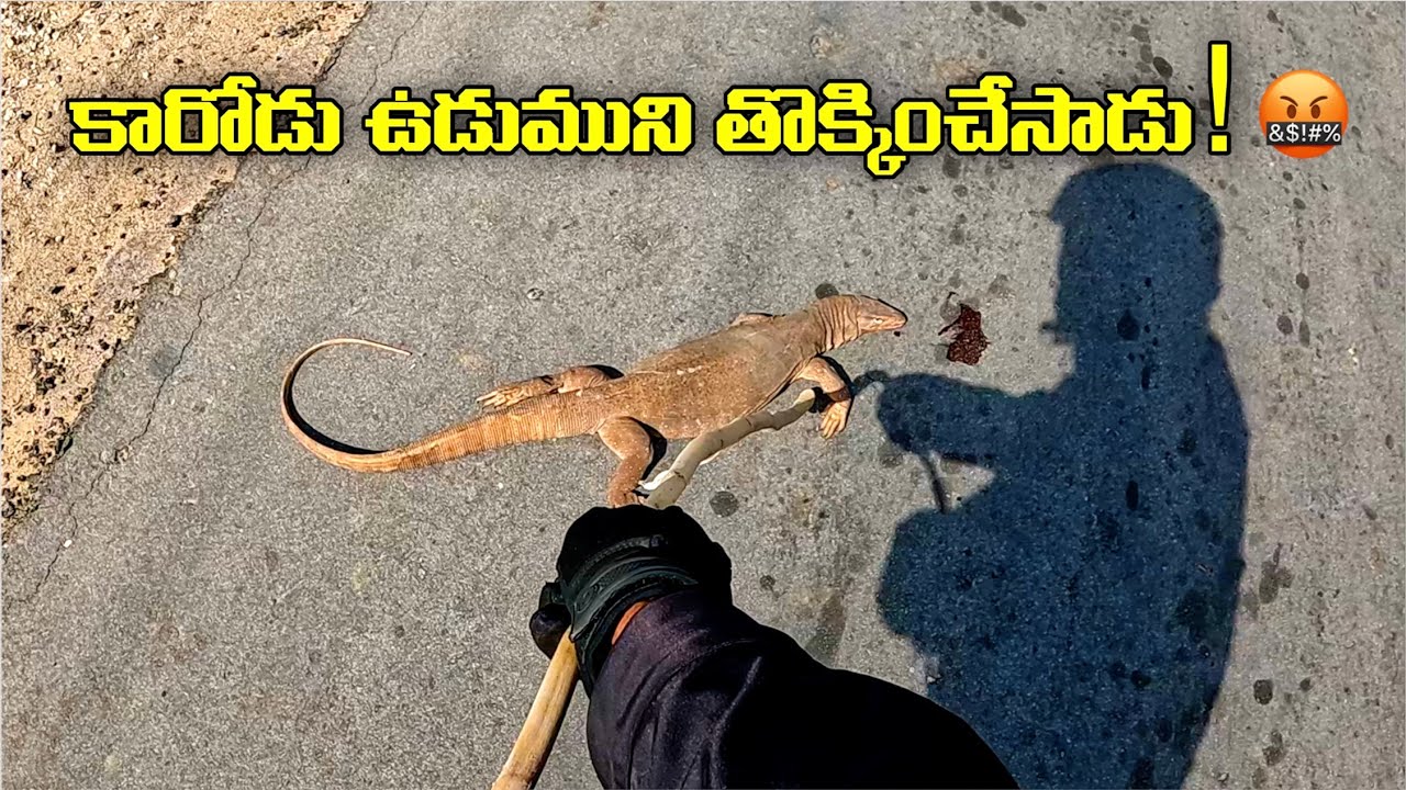 Epic Ride in Thar Desert 🏍️ | Unexpected Wildlife Encounters! Monitor Lizard, Camels & Fox 🐫🦊