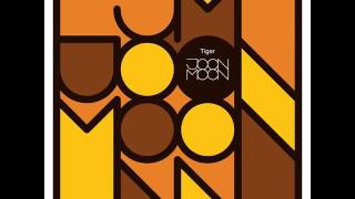 Joon Moon - Tiger chords