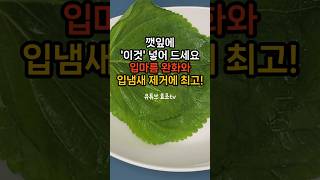 깻잎에 ‘이것’ 넣어 드세요! 입마름, 입냄새 제거에 최고입니다! #입냄새 #속냄새 #입마름 #구강건조 #깻잎