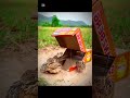 Birds trapping