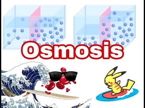 OSMOLARIDAD: ¡Apréndelo en 15 minutos! FACILITOOO
