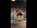 Ellie Turner Snatches 190 lb (86 kg) After 800-m Run