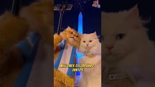 Obelisco, Av  9 de Julio, Buenos Aires, Argentina