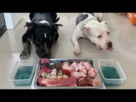 🛒🛍From RAW Shopping to 🍖RAW Feeding [ASMR] MUKBANG 犬が生の肉を食べる[咀嚼音] Dog VLOG