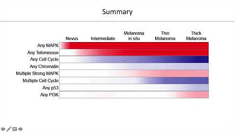 Intregrative genomic and transcriptomic analysis of melanomas and their precursor lesions