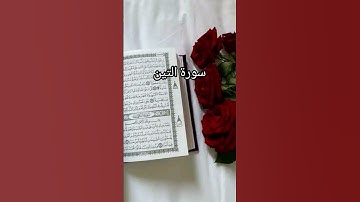 سورة التين #اكسبلور #كتب #لايك #فايسبوك #دويتو #تليگرام #youtube #تيك_توك #القرآن_الكريم #quran