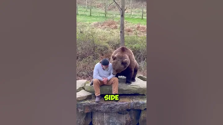 The Unbreakable Bond Between a Man and a Bear 🥰✨ #shorts