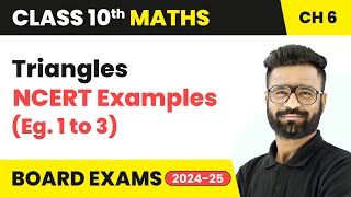 Celebrity Triangles - NCERT Examples (Eg. 1 to 3) | Class 10 Maths Chapter 6 | CBSE 2025-26 Profile