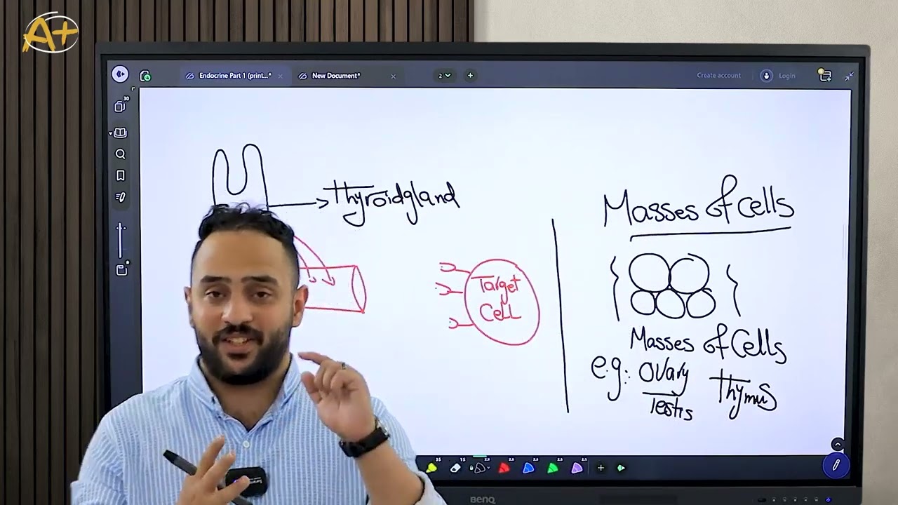 ERS physiology introduction (طب جامعه اكتوبر )