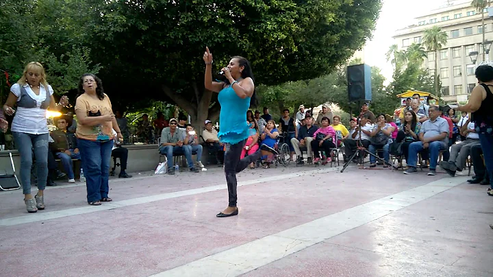 la pollera colorada LUDIVINA DEL SOL plaza de arma...