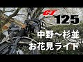 【CT125】お花見ライド！【ハンターカブ】