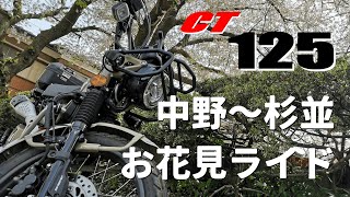 【CT125】お花見ライド！【ハンターカブ】