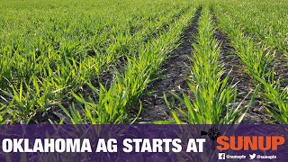There is Still Time for Nitrogen Applications (2/15/20)