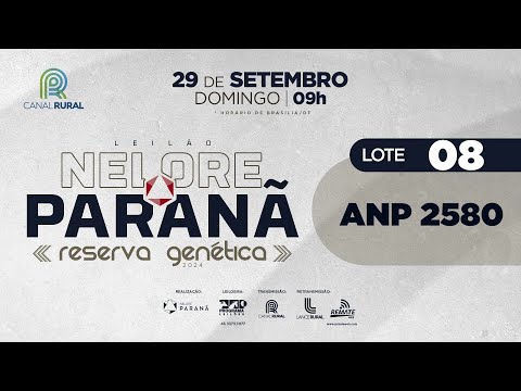 LOTE 8 ANP 2580