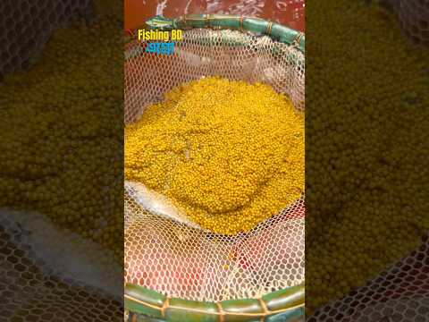 তেলাপিয়া মাছের ডিম থেকে বাচ্চা উৎপাদন প্রক্রিয়া 🐠 #fish #fishbreeding #shortsfeed #viral