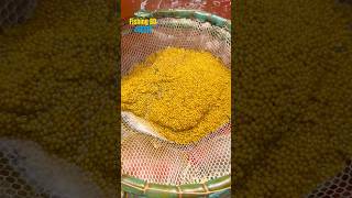 তেলাপিয়া মাছের ডিম থেকে বাচ্চা উৎপাদন প্রক্রিয়া 🐠 #fish #fishbreeding #shortsfeed #viral