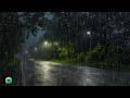 Som de Chuva e Trovão para Dormir - Chuva caía torrencialmente na estrada que atravessava a floresta