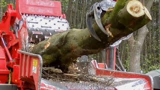 Amazing Dangerous Fastest Wood Chipper Machine Technology, Incredible Powerful Tree Shredder Working