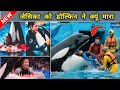 Jessica Dolphin Accident | Full Hindi Video.| How to Jessica Died | Jessica Radcliffe 
