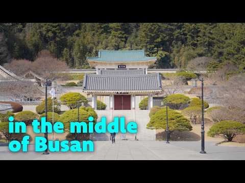 A quiet half-day in Busan (walking through Dongnae)