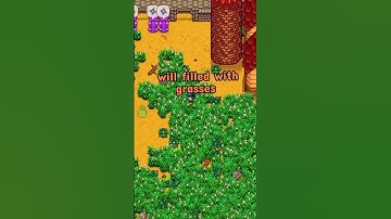 How to get unlimited hay in Stardew Valley
